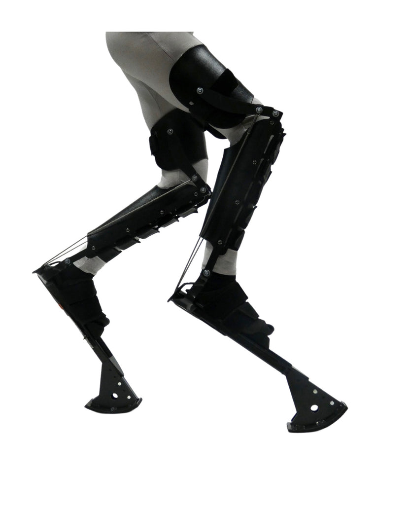 Digilegs