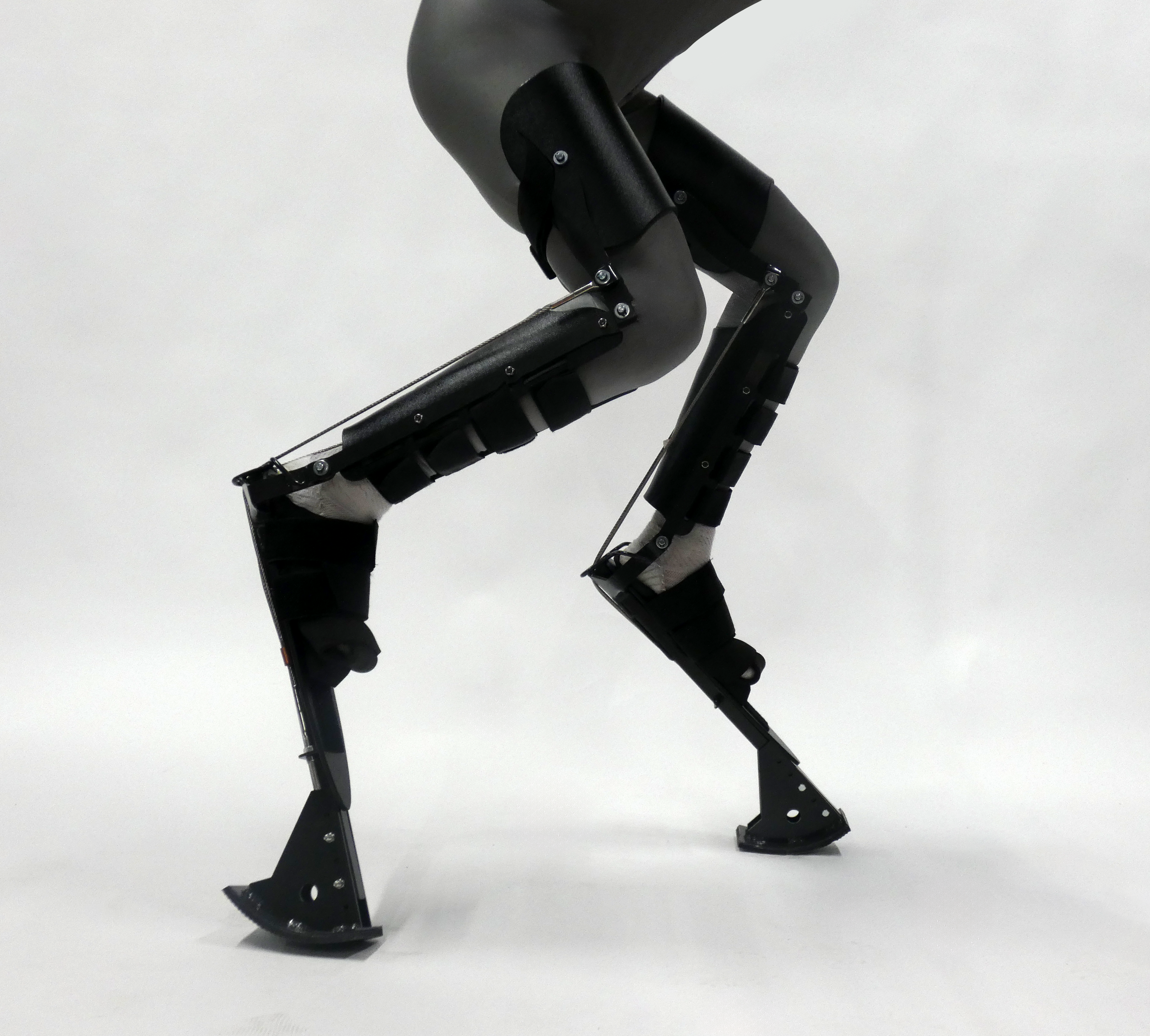 https://digilegs.com/wp-content/uploads/2024/01/Digi-3-e1744379955874.png